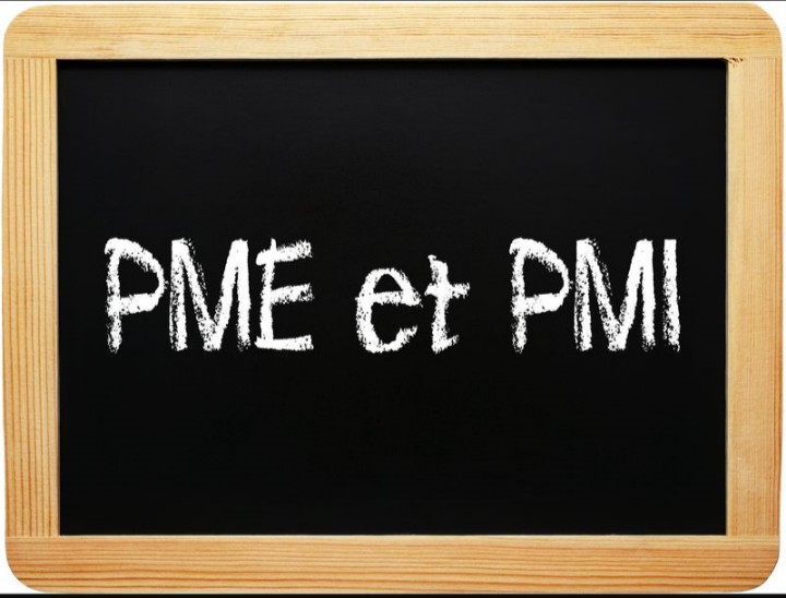 Micros, petites & moyennes entreprises